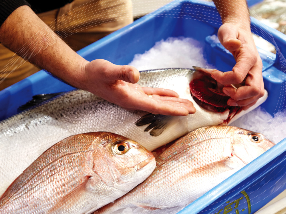 Where Can I Buy Fish To Stock My Pond In Oklahoma Get More Anythink's